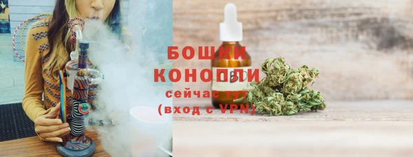 шишки Алексеевка